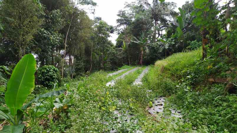 dijual tanah wanayasa