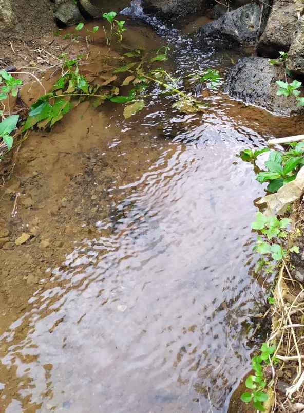 dijual tanah wanayasa