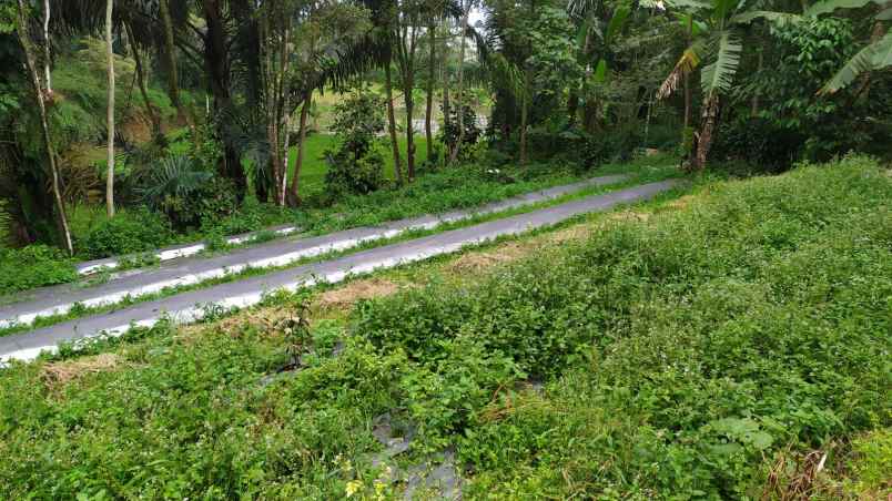 dijual tanah wanayasa