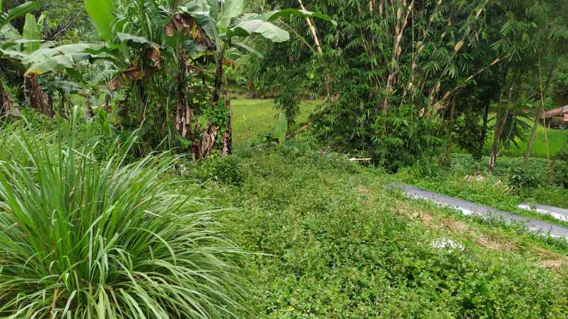 dijual tanah wanayasa