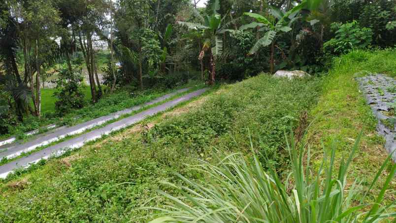 dijual tanah wanayasa