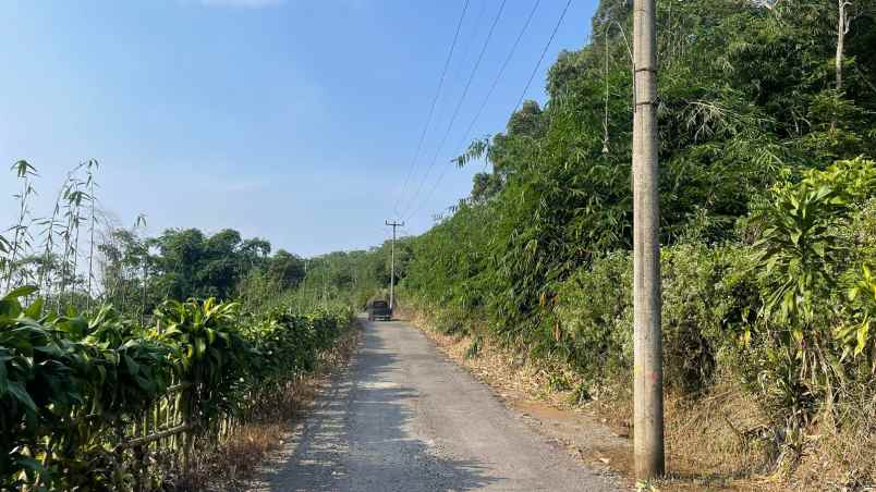 dijual tanah wanayasa