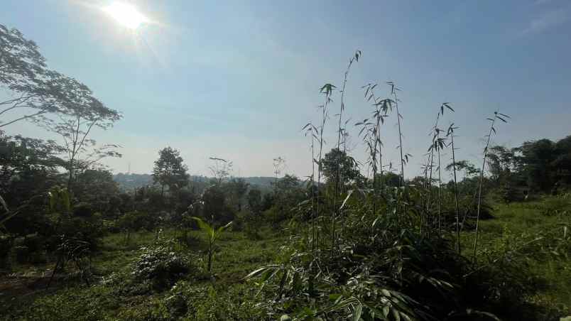 dijual tanah wanayasa