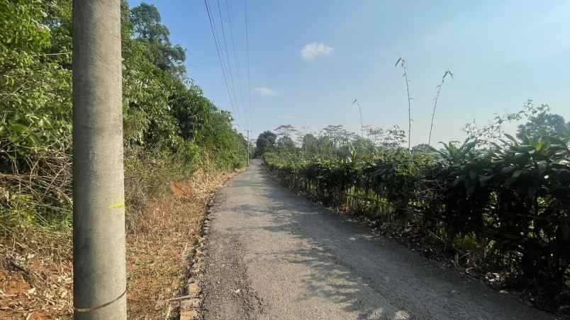 dijual tanah wanayasa