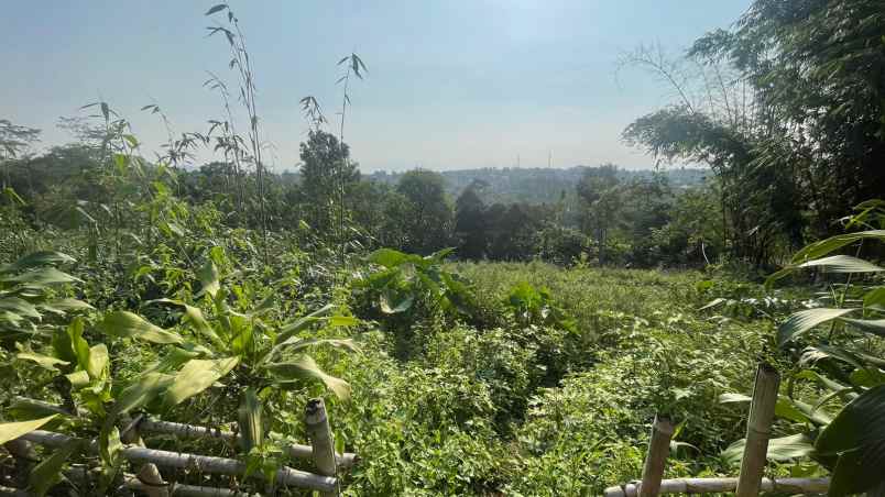 dijual tanah wanayasa