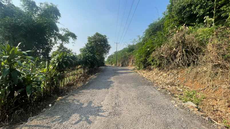 dijual tanah wanayasa