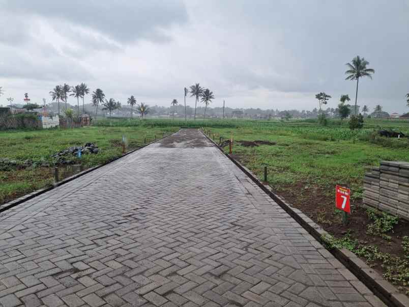 dijual tanah wonomulyo