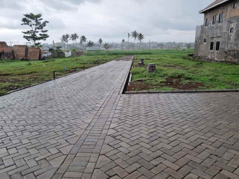 dijual tanah wonomulyo