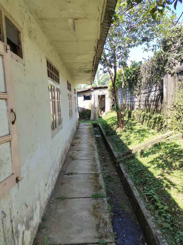 dijual villa puncak cipanas panorama hijau