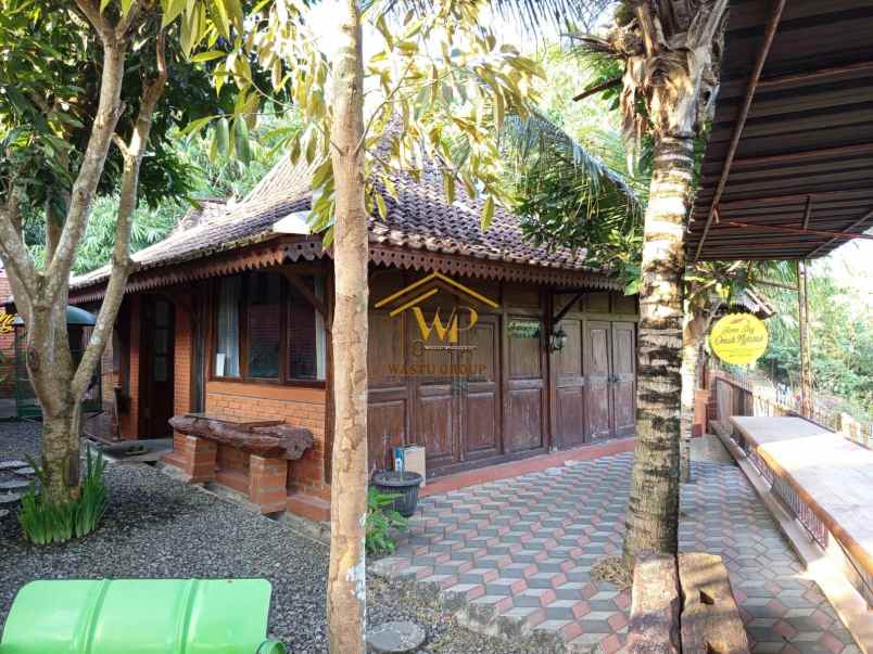 investasi homestay menguntungkan harga di bawah pasar