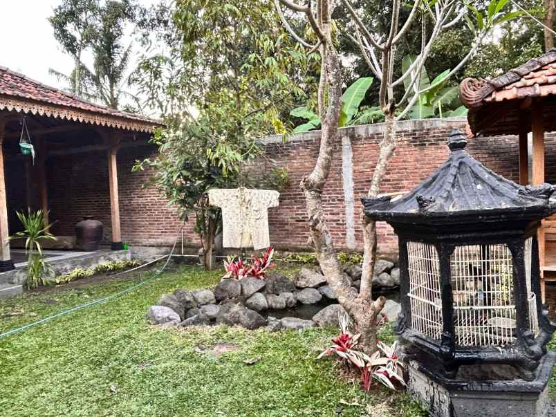 investasi rumah joglo di jogja view sungai dan sawah