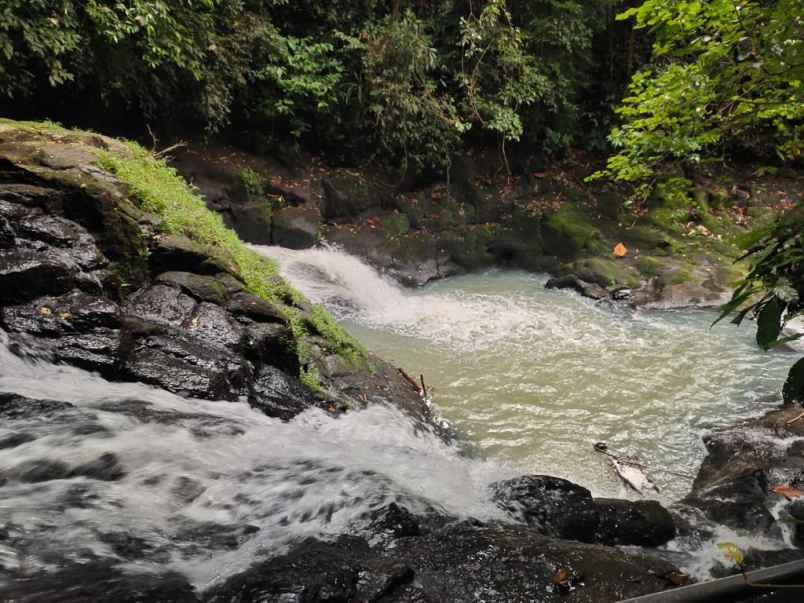 jual tanah 3 air terjun selemadeg tabanan