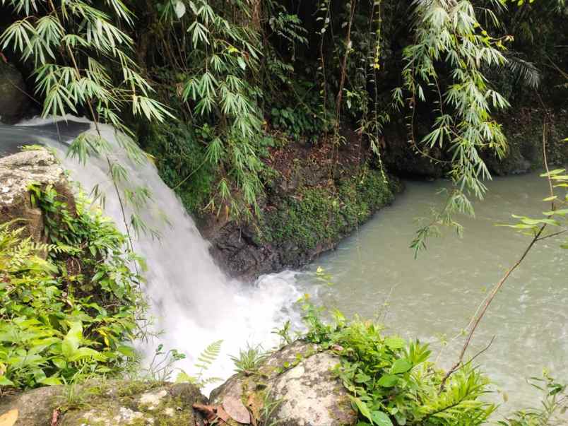jual tanah 3 air terjun selemadeg tabanan