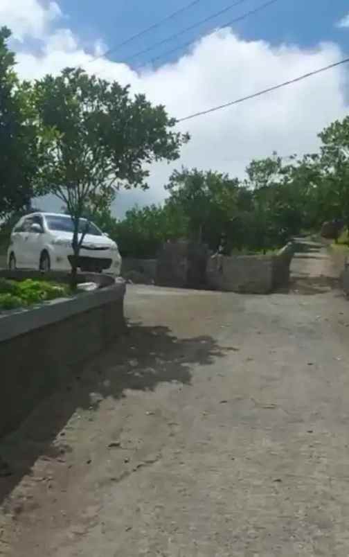 jual tanah kebun sangat bagus di kintamani bangli bali