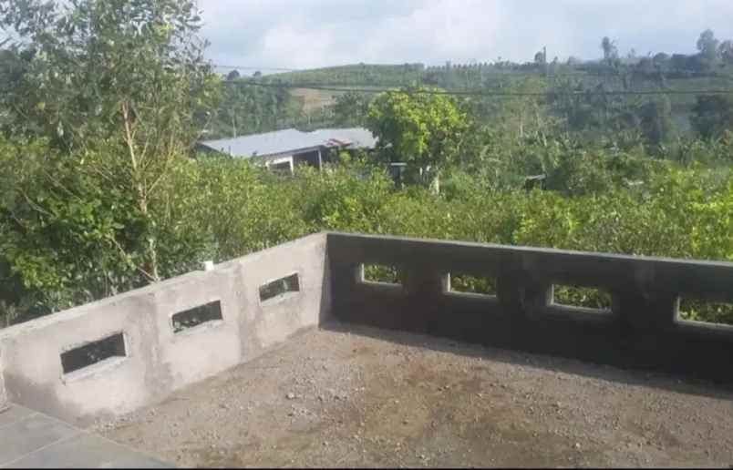 jual tanah kebun sangat bagus di kintamani bangli bali