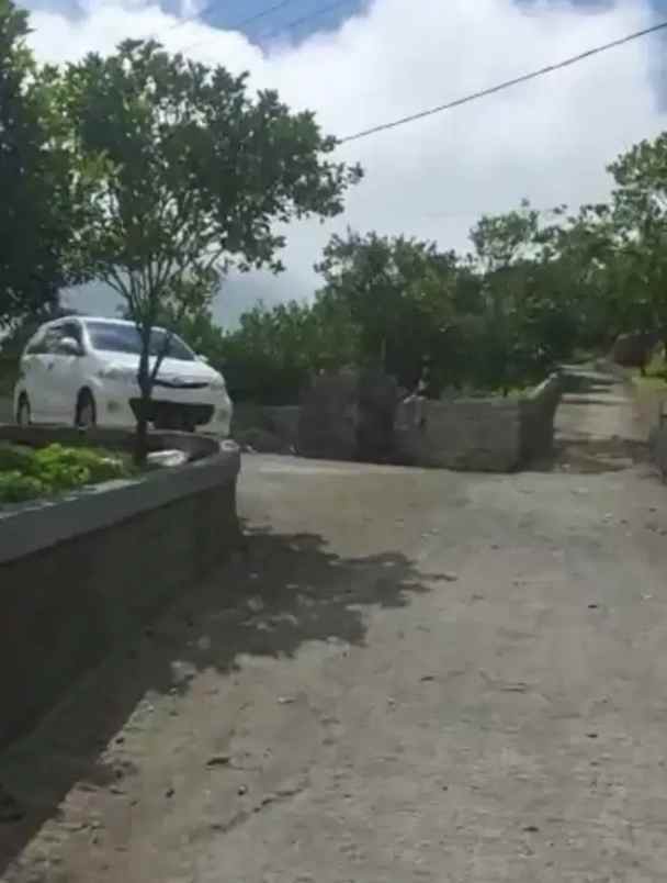 jual tanah kebun sangat bagus di kintamani bangli bali