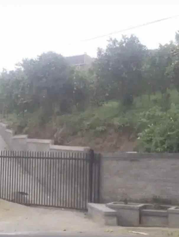 jual tanah kebun sangat bagus di kintamani bangli bali