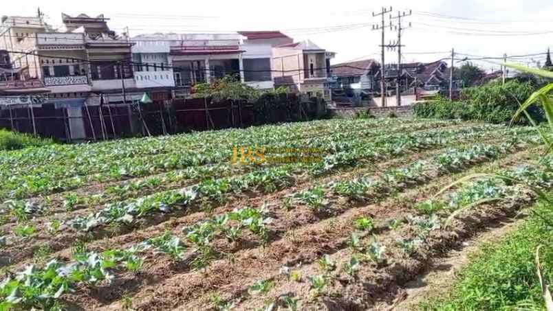 jual tanah kosong daerah berastagi sempajaya kab karo