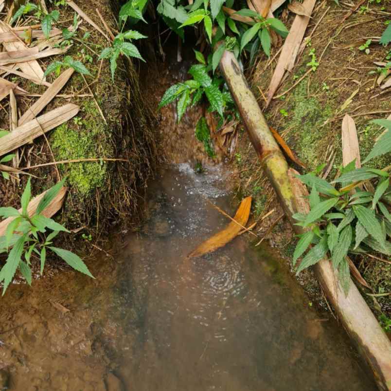 jual tanah paling murah di ciwidey bandung