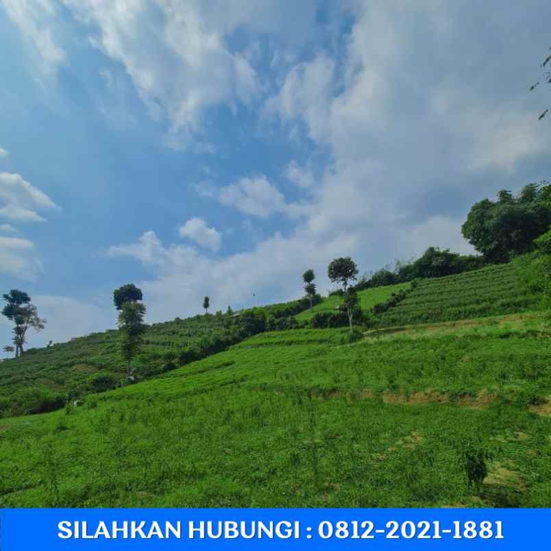 jual tanah samping jalan raya pangalengan