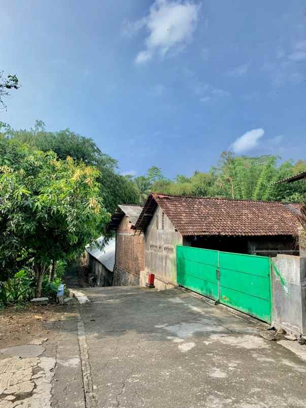 kandang peternakan lokasi ampel boyolali strategis