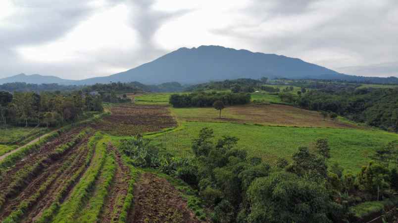kavling ekslusif kalamaya ecolodge puncak