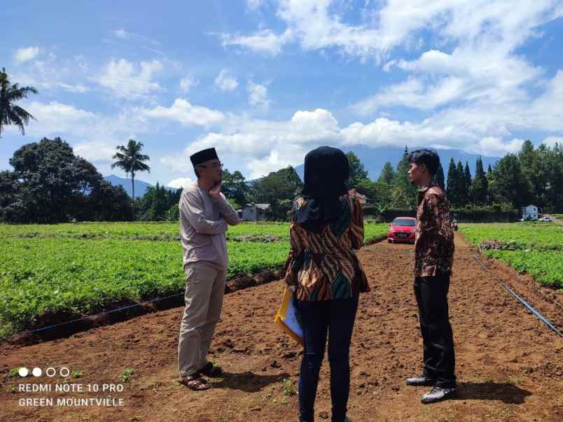 kavling villa green mountville puncak bogor