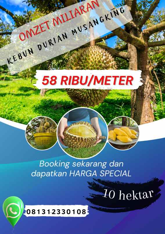 kebun durian musang king bogor