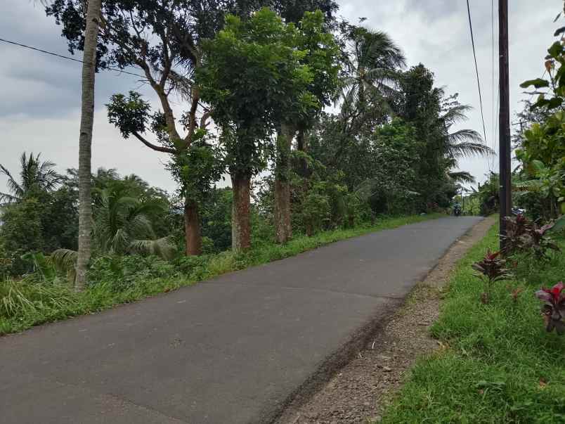 kebun produktif ada durian view bagus