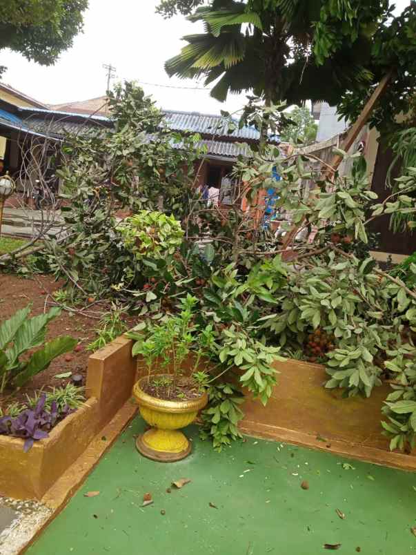 rumah kelapa hijau jagakarsa kec