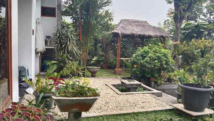rumah pondok hijau