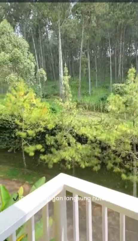 rumah villa di kusuma pinus plus kolam renang