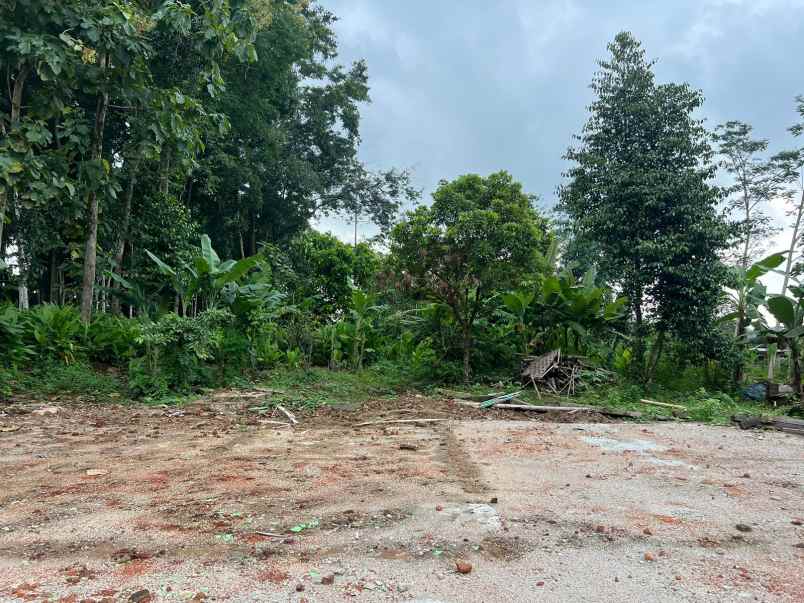 super datar pekarangan 1500m utara pasar mojogedang