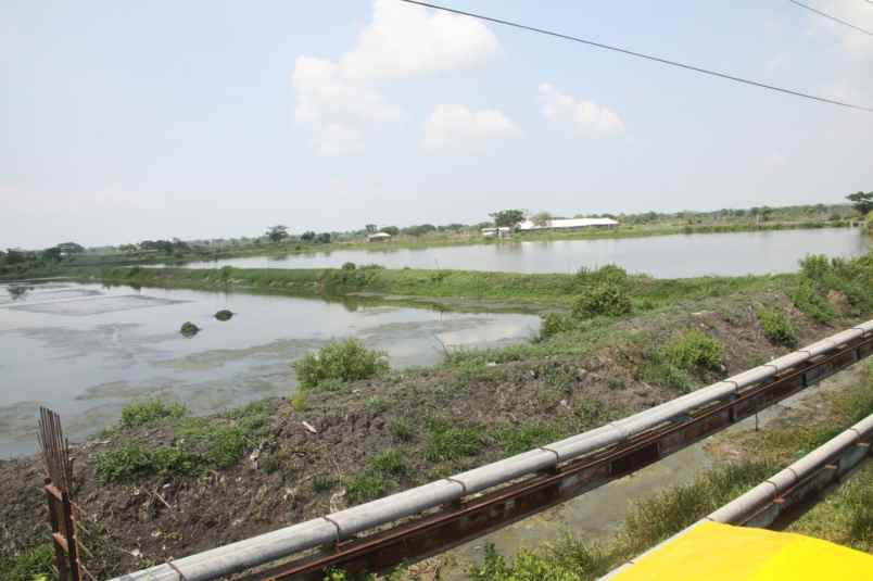 tambak strategis di gresik