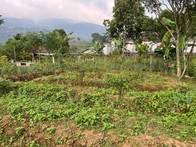 tanah 2038m strategis untuk villa wisata karanganyar