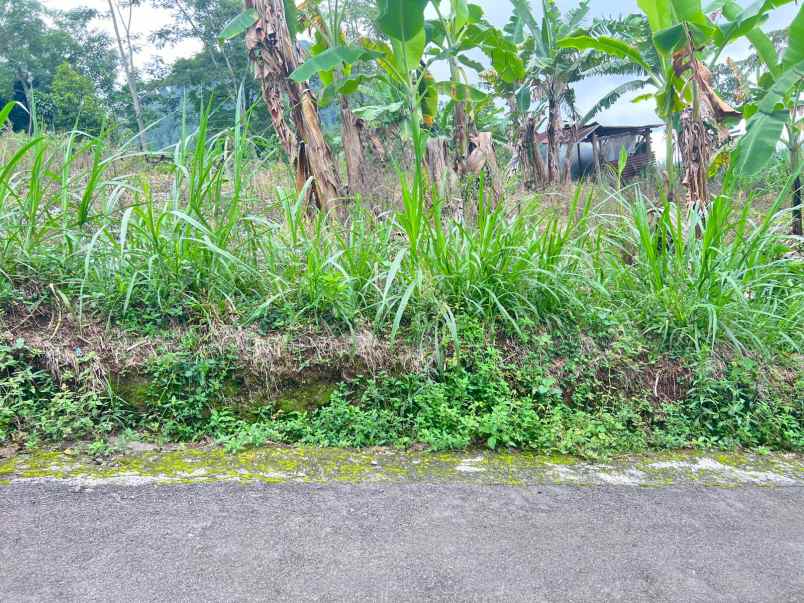 tanah 900m kawasan wisata ngargoyoso karanganyar