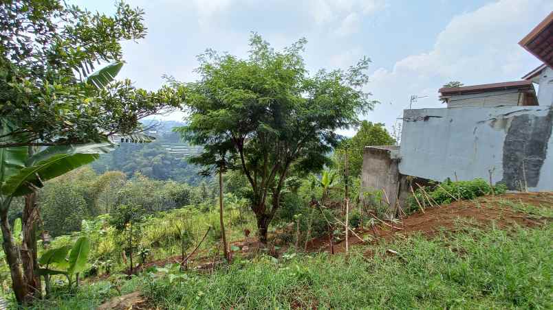 tanah cirateun cidadap