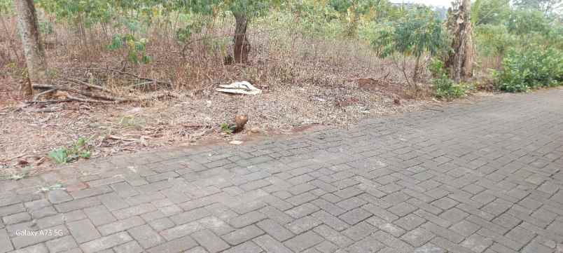tanah dekat undip mulawarman tembalang