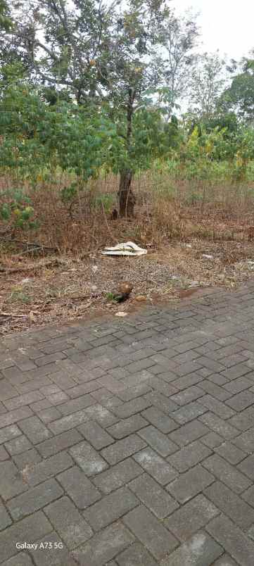 tanah dekat undip mulawarman tembalang