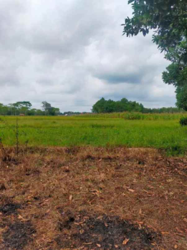 tanah di jalur dia itera luas 9600m shm