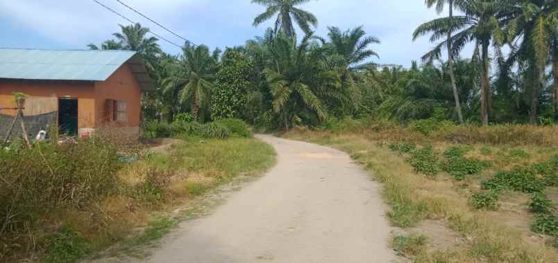 tanah di kawasan kec pantai labu deli serdang