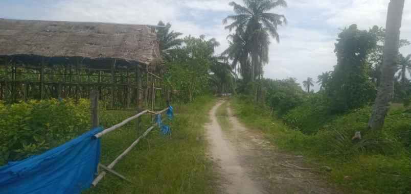 tanah di kawasan kec pantai labu deli serdang