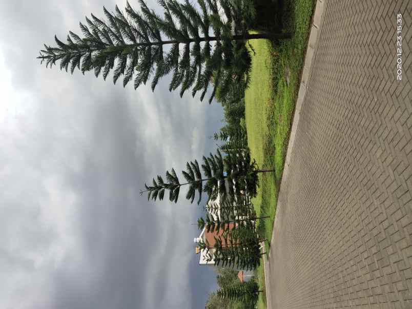 tanah graha pinus asri pondok