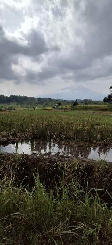 tanah investasi kawasan pacet free desain villa pacet