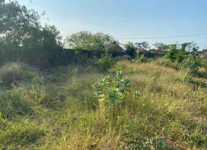 tanah jln cirebon tegal pangenan