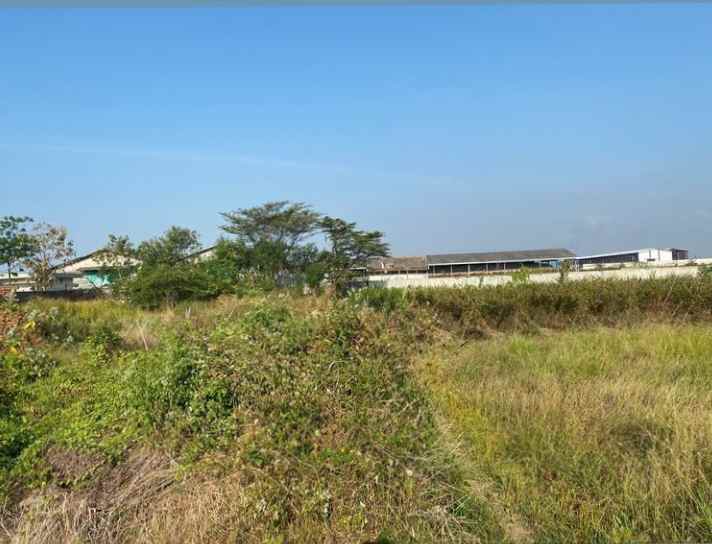 tanah jln cirebon tegal pangenan