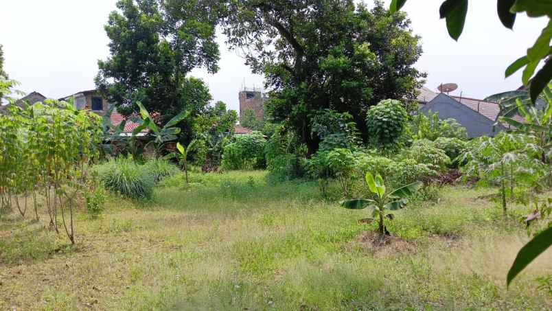 tanah kavling di munjul dekat lrt cibubur