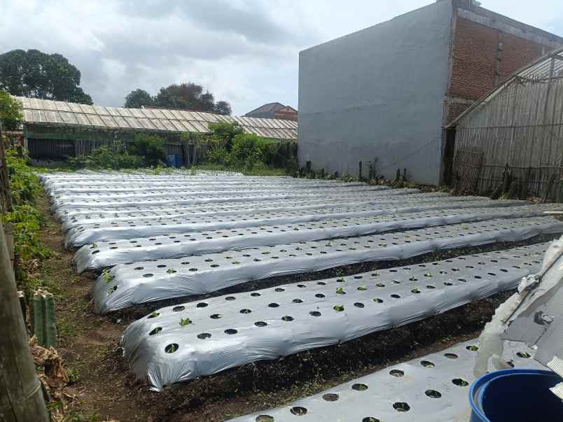 tanah kavling dijual di lembang bandung