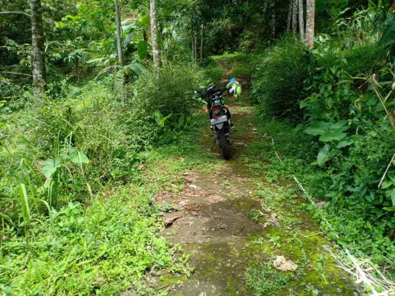 tanah kawasan wisata