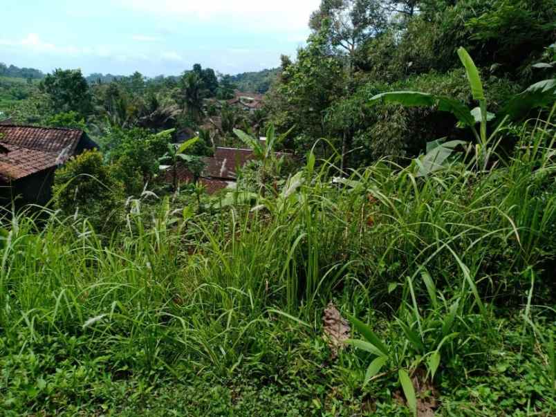 tanah kawasan wisata